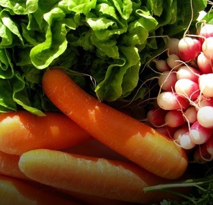 Healthy and organic food