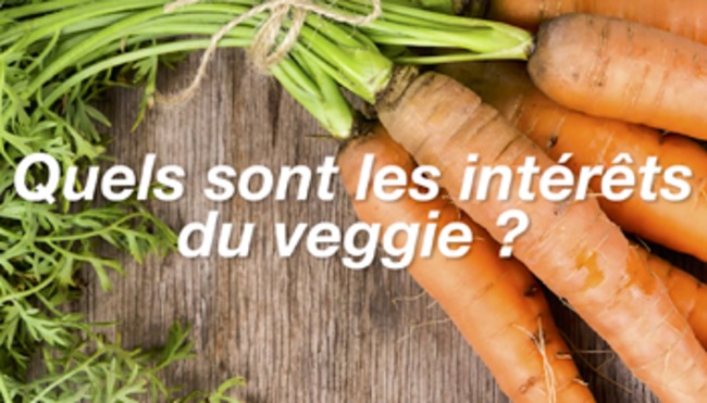 Quels sont les intérêts du veggie ?