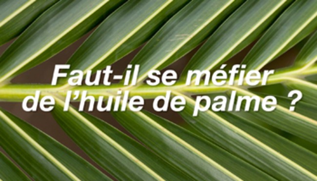 Faut-il se méfier de l'huile de palme ?